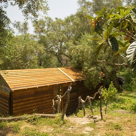 Pelekas Olive Grove Oasis Room No4 Eksteriør billede